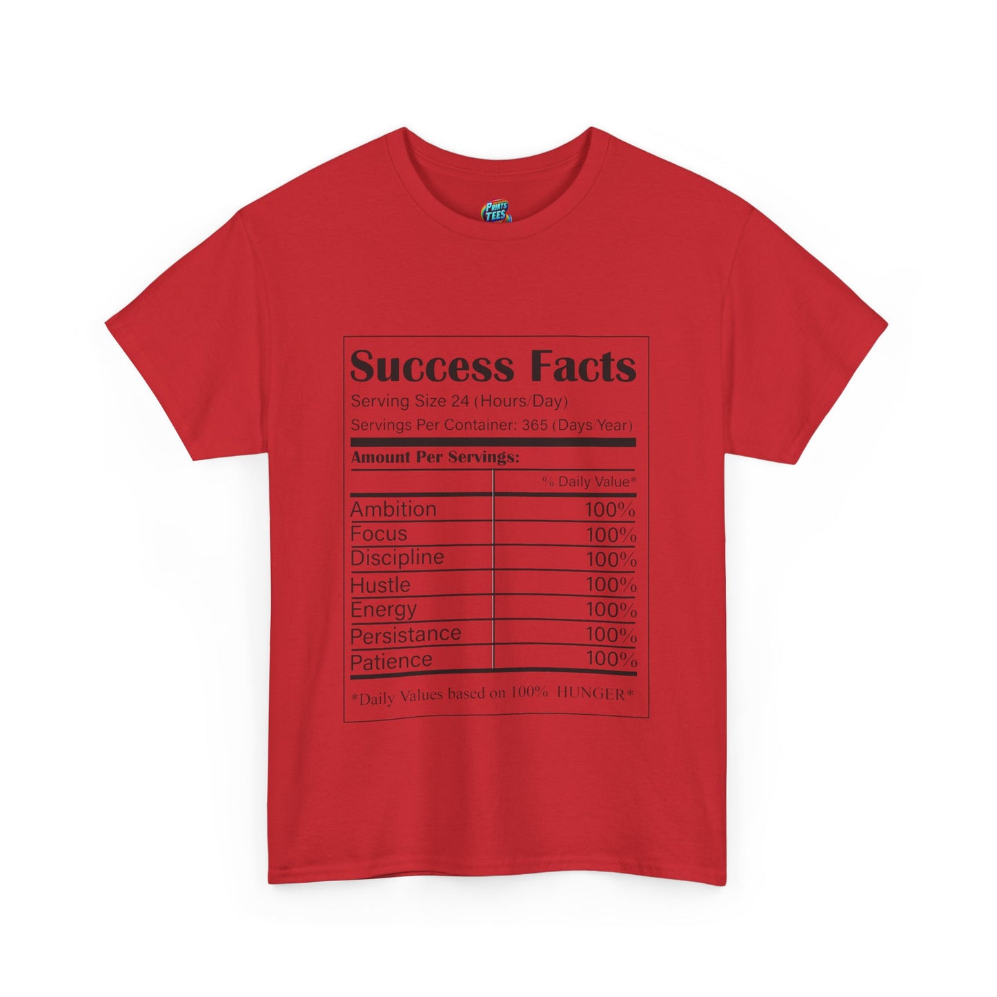 Success Facts-Heavy Cotton Classic Tee