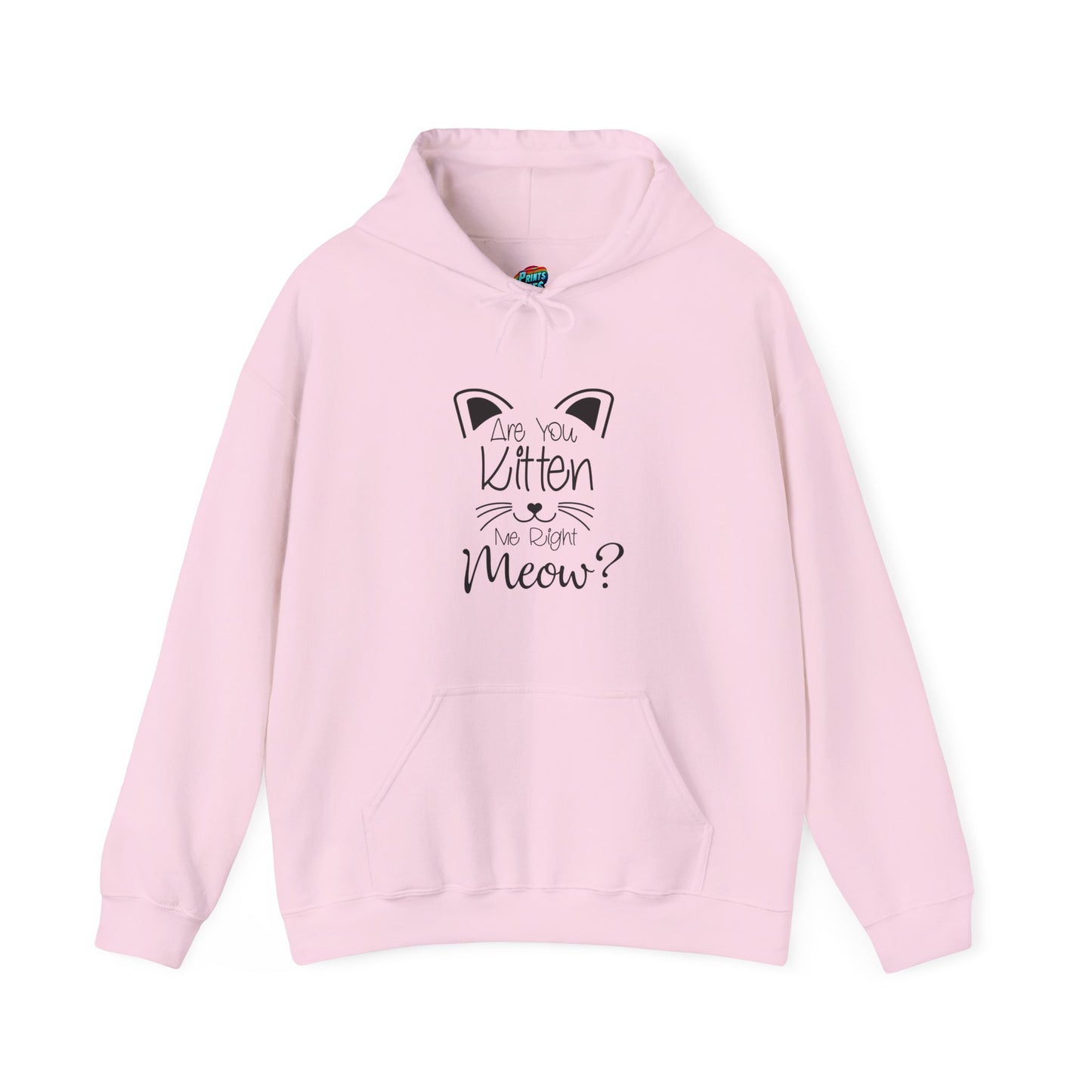 Are You Kitten Me-Heavy Blend™ Classic Hoodie