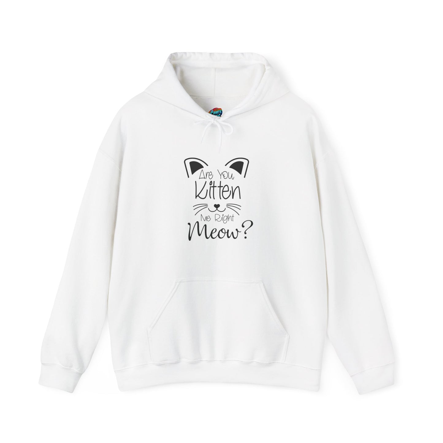 Are You Kitten Me-Heavy Blend™ Classic Hoodie