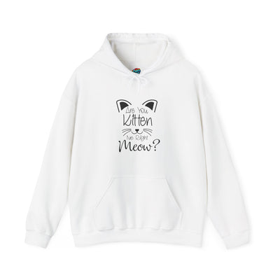 Are You Kitten Me-Heavy Blend™ Classic Hoodie