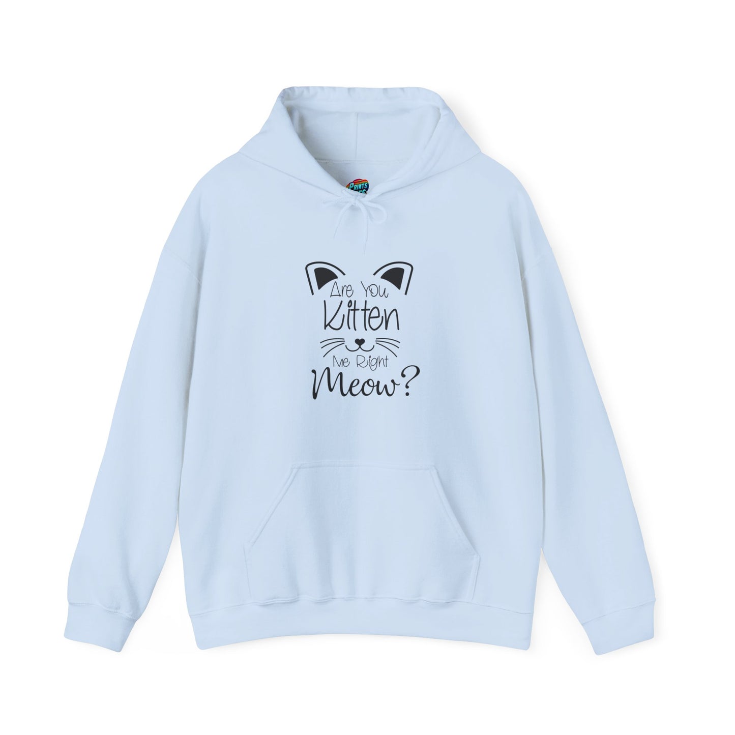 Are You Kitten Me-Heavy Blend™ Classic Hoodie