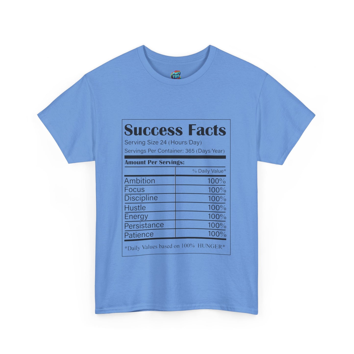 Success Facts-Heavy Cotton Classic Tee