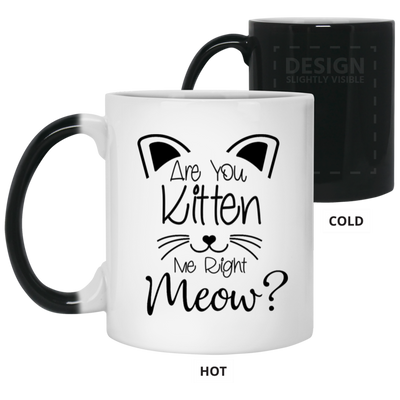 Are You Kitten Me-11oz Color Changing Mug