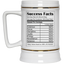 Success Facts-Beer Stein 22oz.